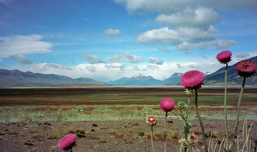 Outside of El Calafate, Santa Cruz Province