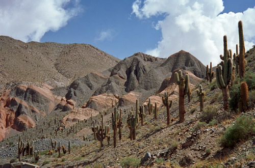 Tilcara, El Pucara, Desert scenery