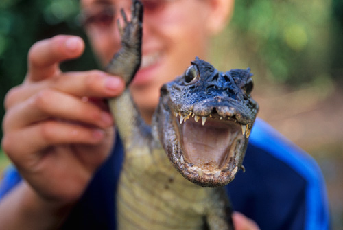 La Fortuna Crocodile Farm