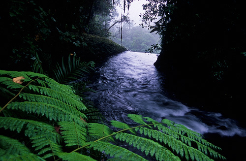 La Paz waterfall