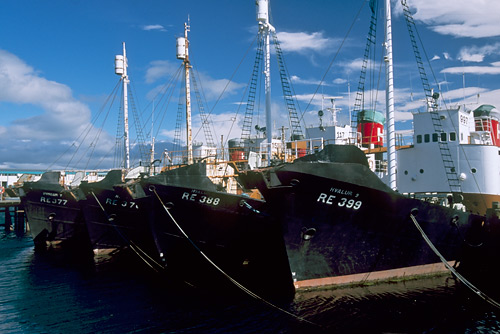 Reykjavik harbor
