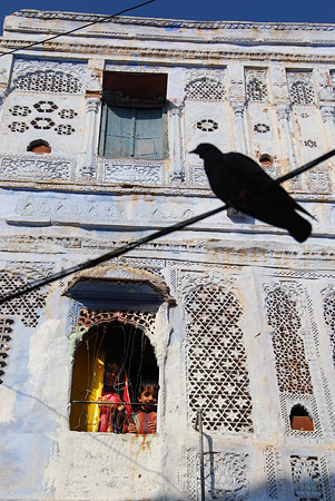 Jodhpur pigeon and people in window