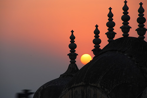 Tiger Palace at sunset