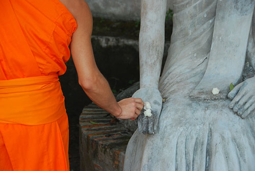 Offerings to Buddha