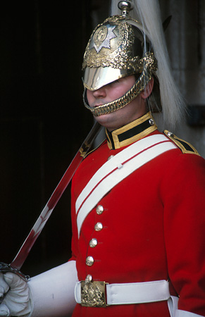 The Queen's Life Guard