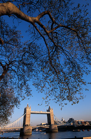 Tower Bridge