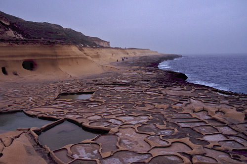 Intriguing patterns of the salt panes