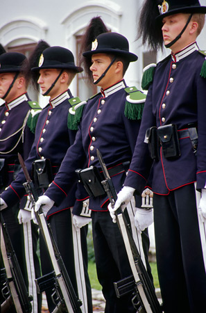 The Royal Guards