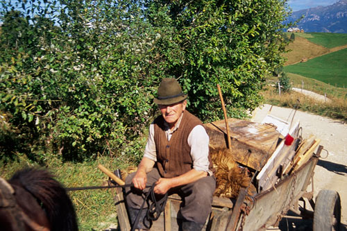Fagaras Horse Drawn