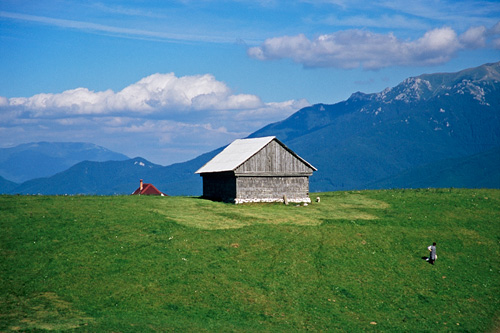 Fagaras House