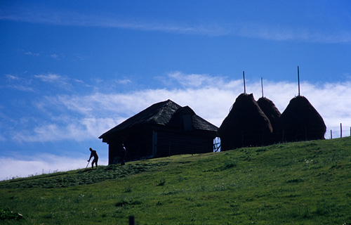 Fagaras 