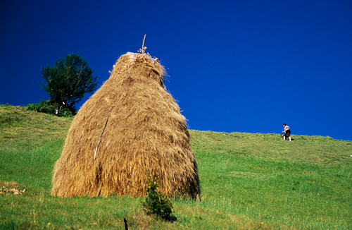 Hay Stack 