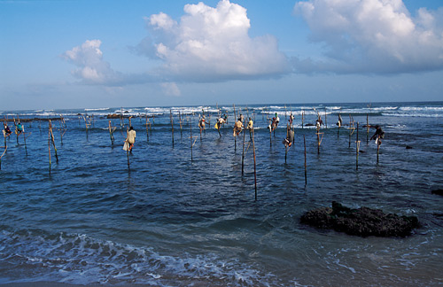 The stilt fishermen of Koggala