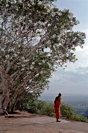 Monk in Mihintale