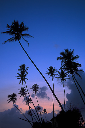 Sunset in the south