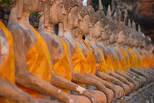Wat Yai Chai Mongkhon Rows of Buddhas