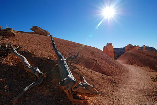 Bryce Canyon Hot Sun