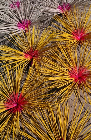 Incense sticks drying in sun