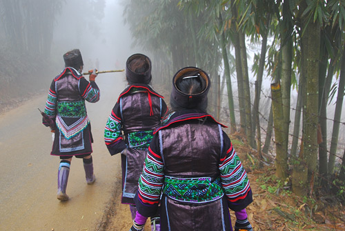 Sapa school girls on a foggy road